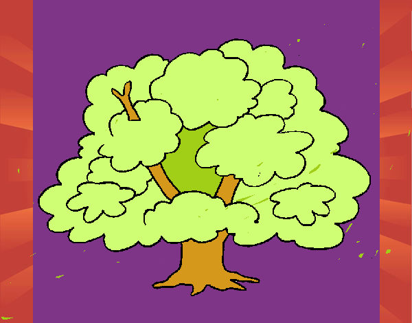 Árbol