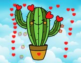 Cactus corazón