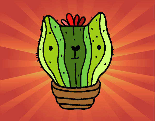 Cactus gato