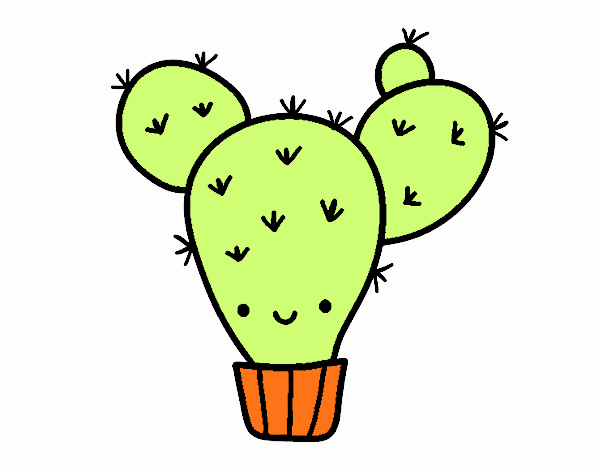 Cactus nopal