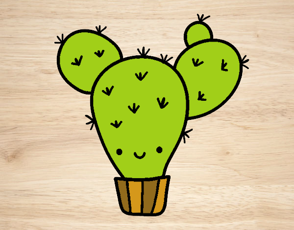 Cactus nopal