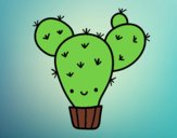 Cactus nopal