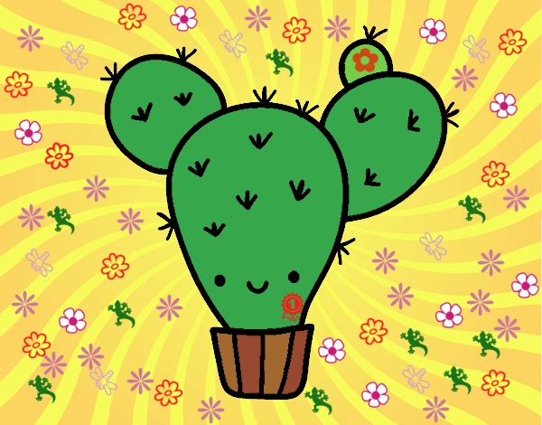 Cactus nopal