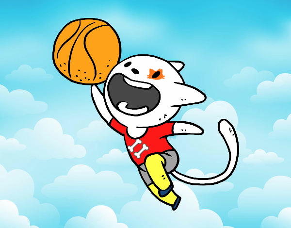 Gato jugando a baloncesto