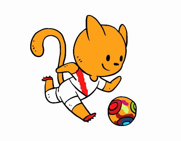 Gato jugando a fútbol