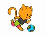 Gato jugando a fútbol