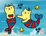 Gatos sirena