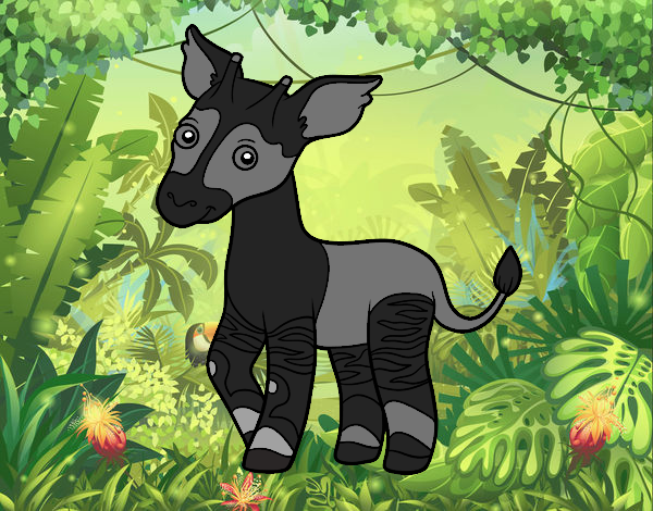 Okapi