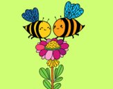 Pareja de abejas