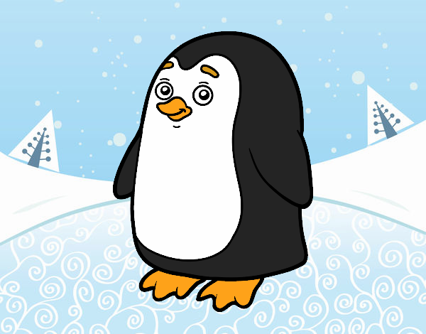 pinguino