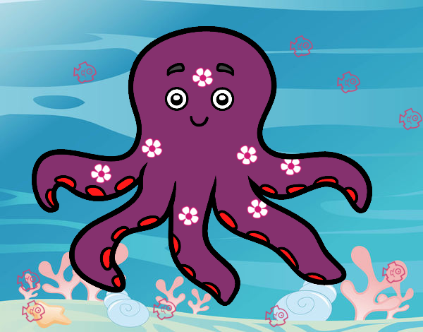 Pulpo infantil