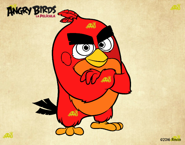 Red de Angry Birds