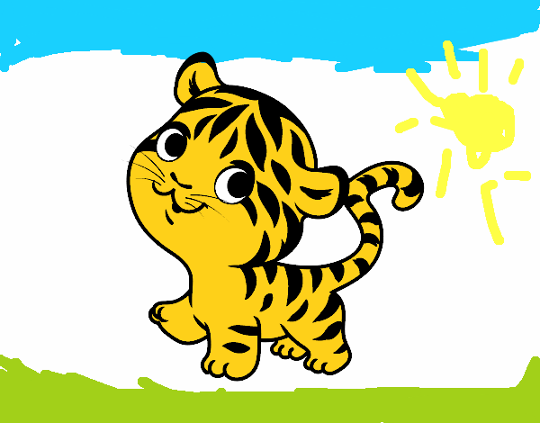 Tigre bebé