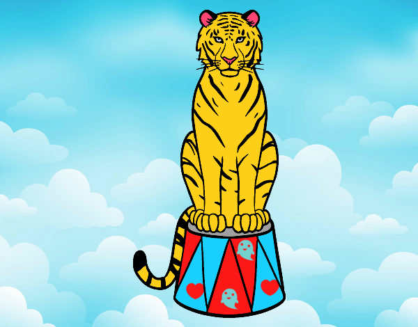 Tigre de circo