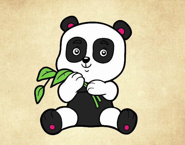 Un oso panda