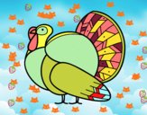 Un pavo