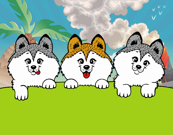 Dibujo de Tres perritos kawaii :D pintado por en  el día  02-06-21 a las 17:55:23. Imprime, pinta o colorea tus propios dibujos!
