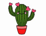 Cactus corazón