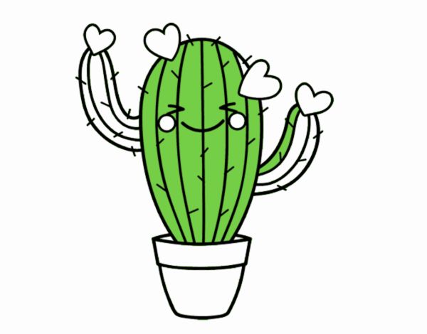 Cactus corazón