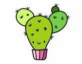 Cactus nopal