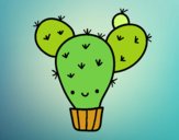 Cactus nopal