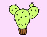 Cactus nopal