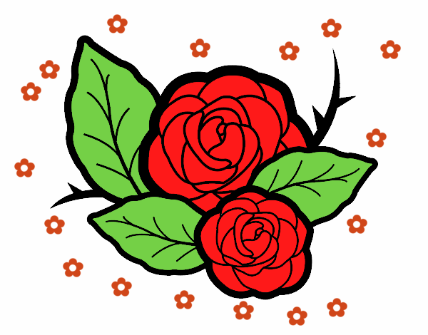 Dos rosas