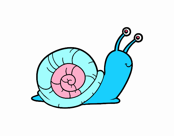 El caracol