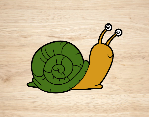 El caracol