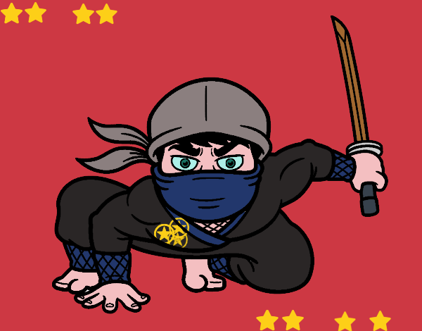 Ninja japonés