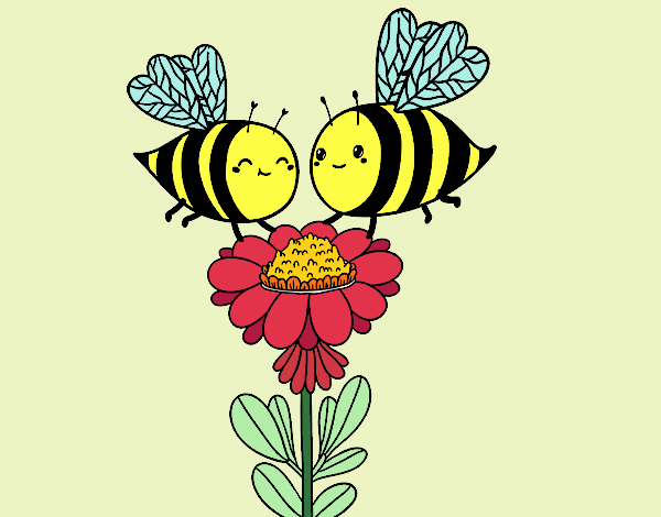 bees