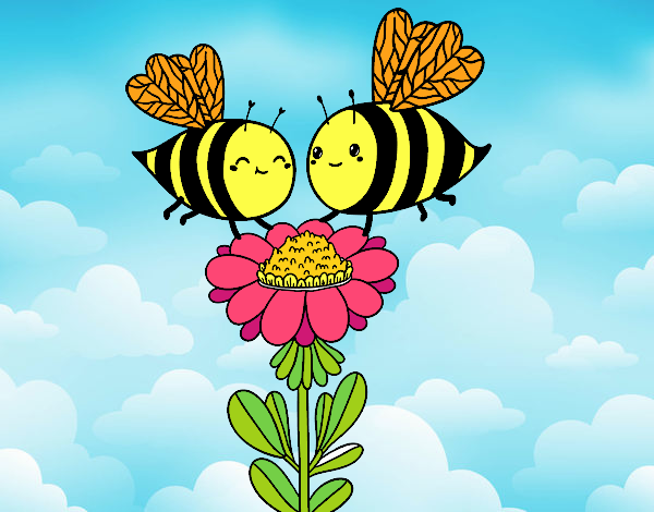 Pareja de abejas