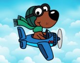 Perro piloto