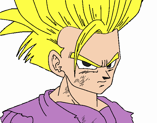 gohan aleiro