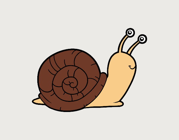 Un caracol