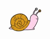 Un caracol