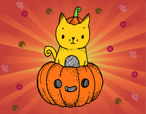 Un gatito de Halloween