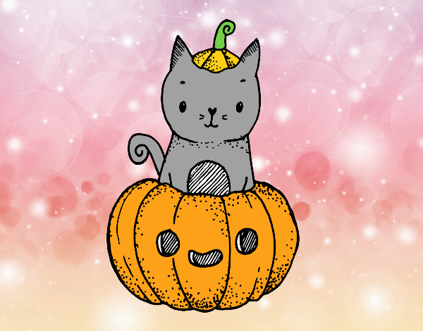 Un gatito de Halloween