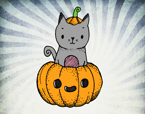 Un gatito de Halloween