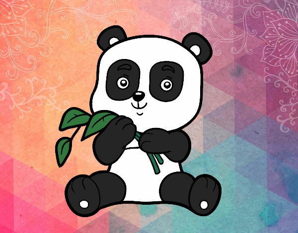 Un oso panda