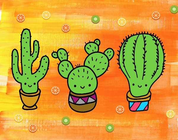 3 mini cactus