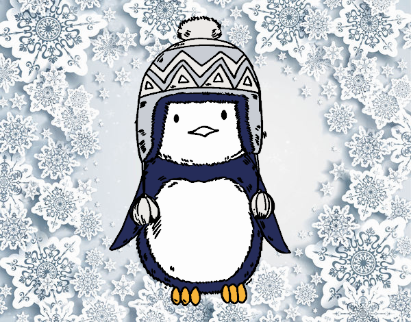 Bebé pingüino con gorrito