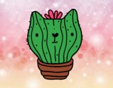 Cactus gato