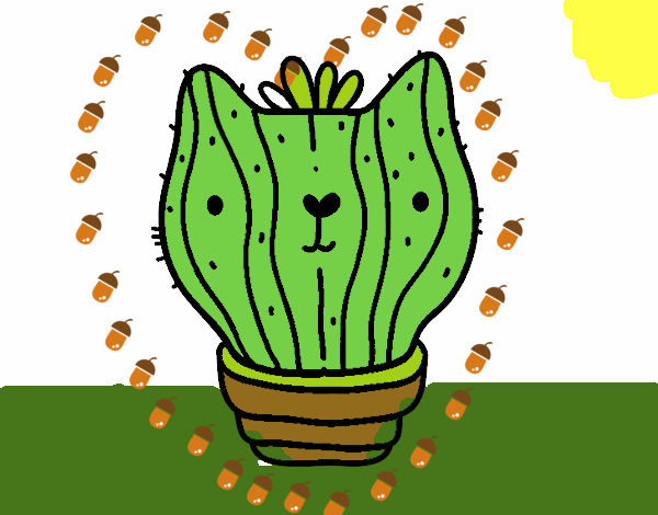 Cactus gato