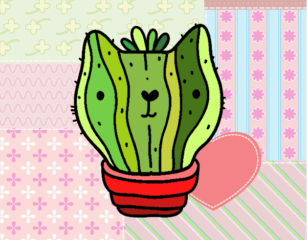 Cactus gato