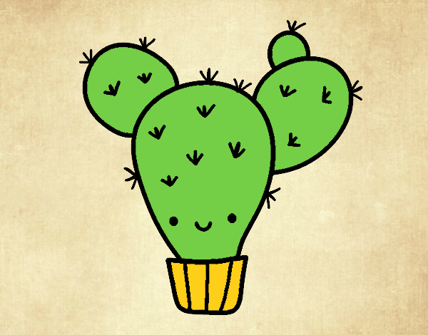 Cactus nopal