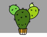 Cactus nopal