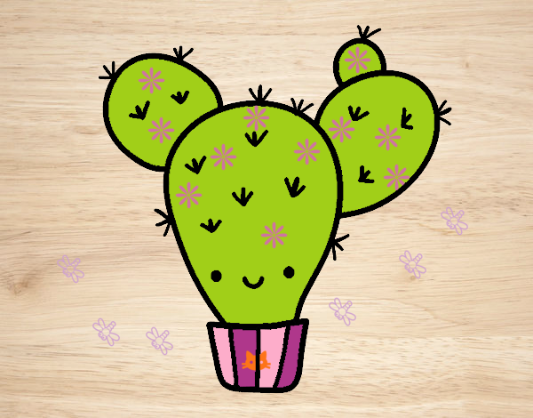 Cactus nopal