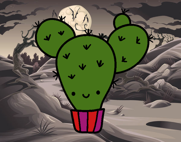 Cactus nopal