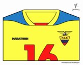 Camiseta del mundial de fútbol 2014 de Ecuador